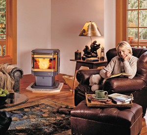 Avalon Wood Pellet Stove